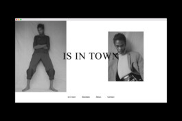 Is in town Website Interface Design 